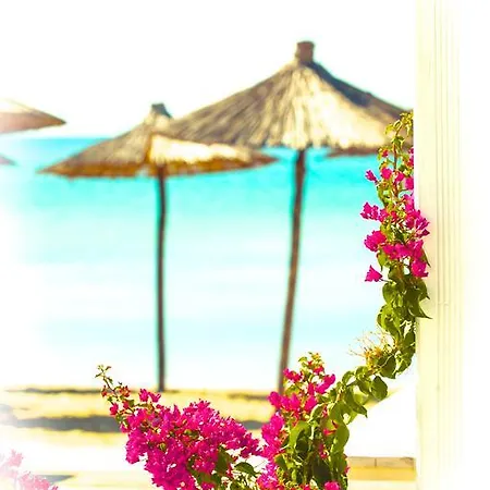 Bouganvillia Homes Apartment *